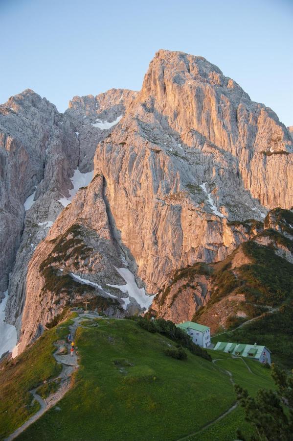 Alpengasthaus Griesner Alm Ξενοδοχείο Kirchdorf in Tirol Εξωτερικό φωτογραφία